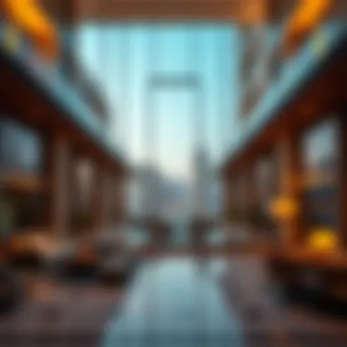 Expatriate Visa Challenges in the UAE Expatriate navigating visa challenges